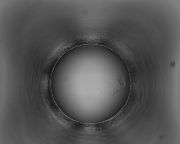 X0000093480744200710191206
