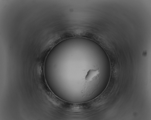 X0000093480746200710191206