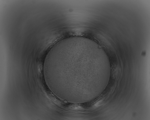 X0000093480747200710191206