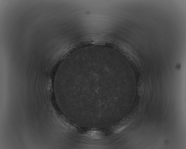 X0000093480748200710191206