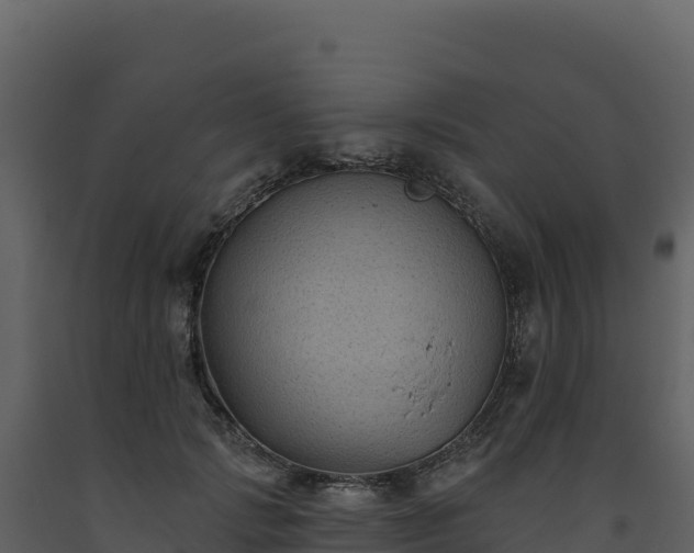 X0000093480749200710191206