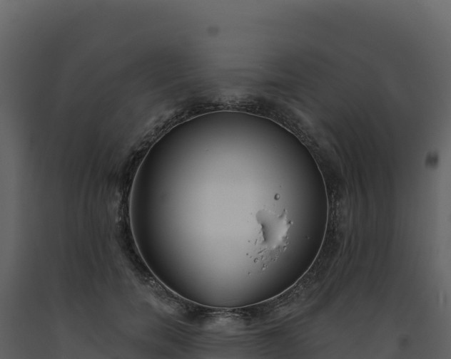 X0000093480750200710191206