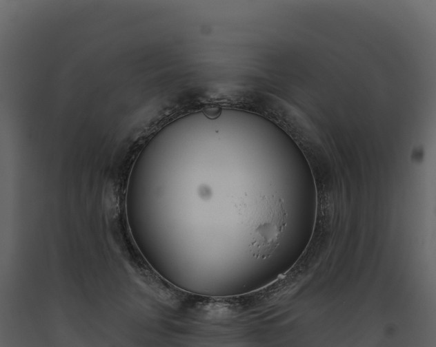 X0000093480751200710191206