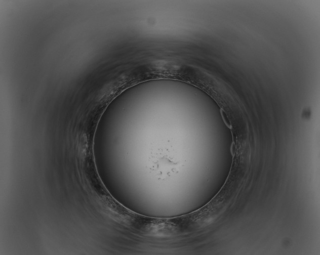 X0000093480752200710191206