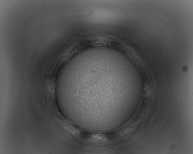 X0000093480753200710191206