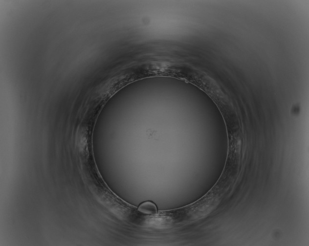 X0000093480754200710191206