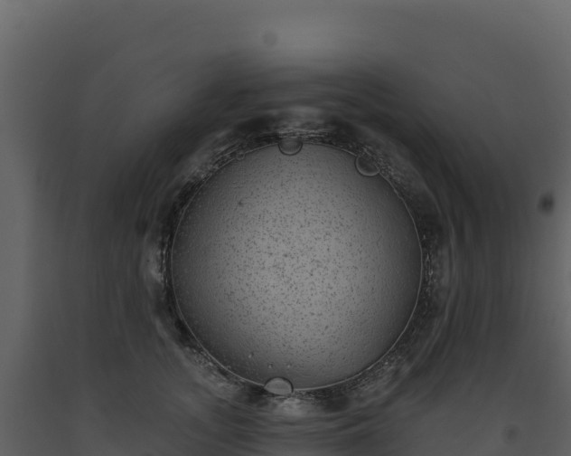 X0000093480755200710191206