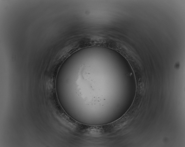X0000093480756200710191206