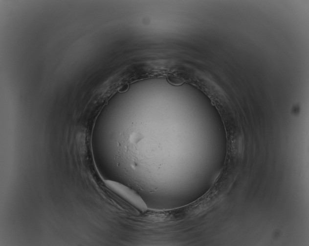 X0000093480757200710191206