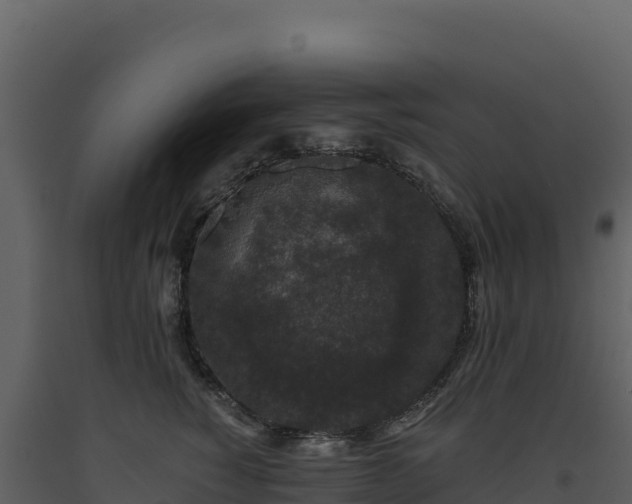 X0000093480760200710191206