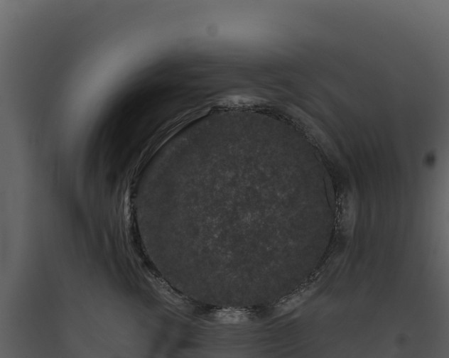 X0000093480762200710191206
