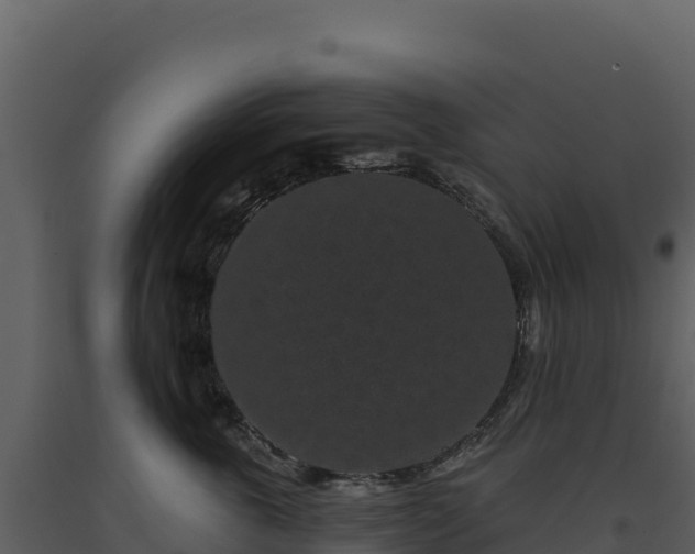 X0000093480763200710191206