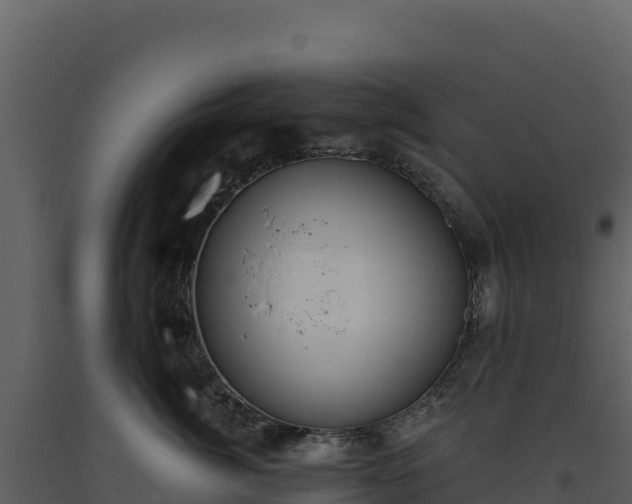 X0000093480764200710191206