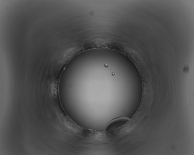 X0000093480768200710191206