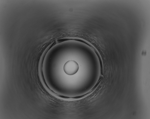 X0000093480769200710191205