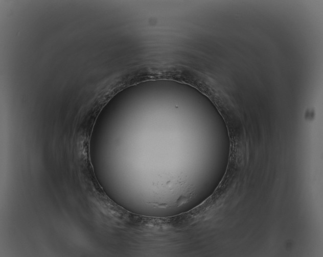 X0000093480770200710191205