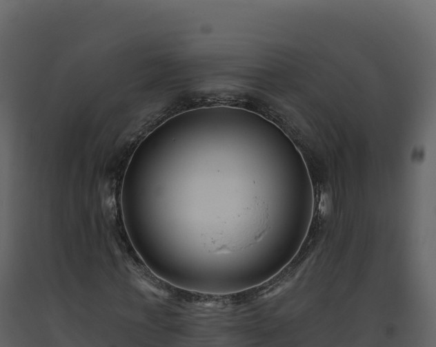X0000093480771200710191205