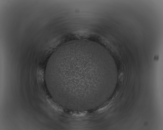X0000093480772200710191205