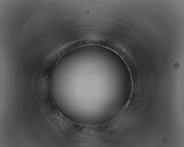 X0000093480773200710191205