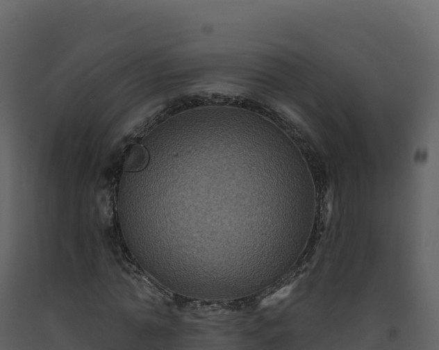 X0000093480774200710191205