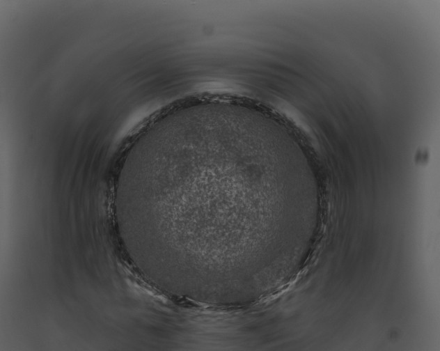 X0000093480775200710191205