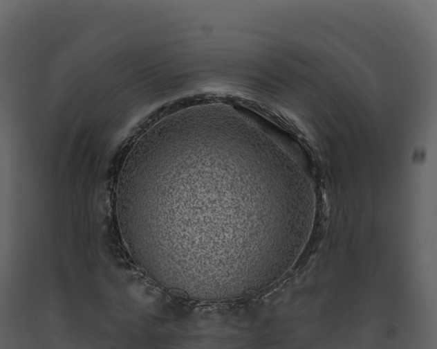 X0000093480776200710191205