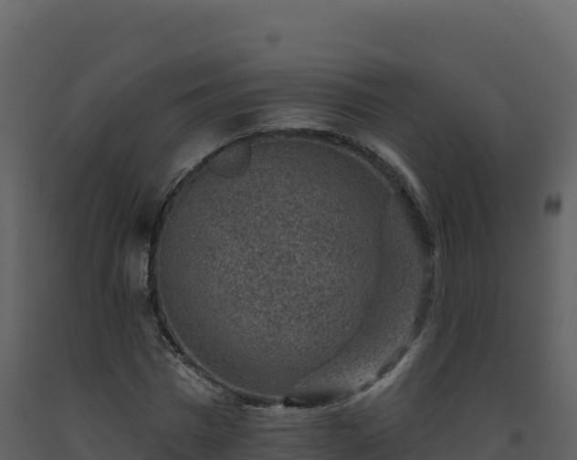 X0000093480777200710191205