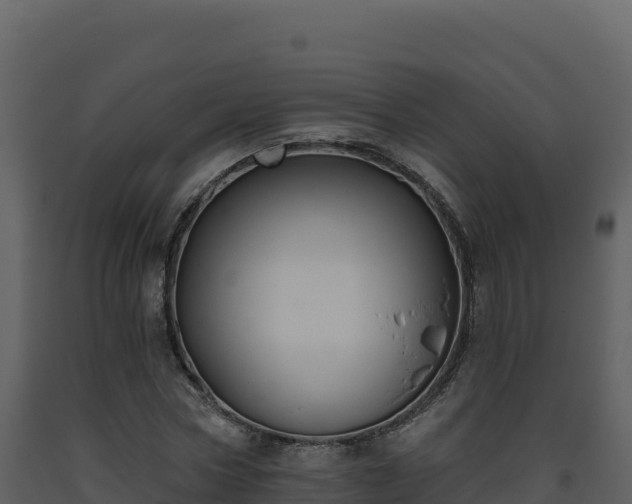 X0000093480778200710191205