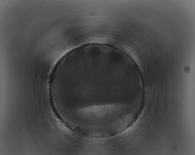 X0000093480779200710191205