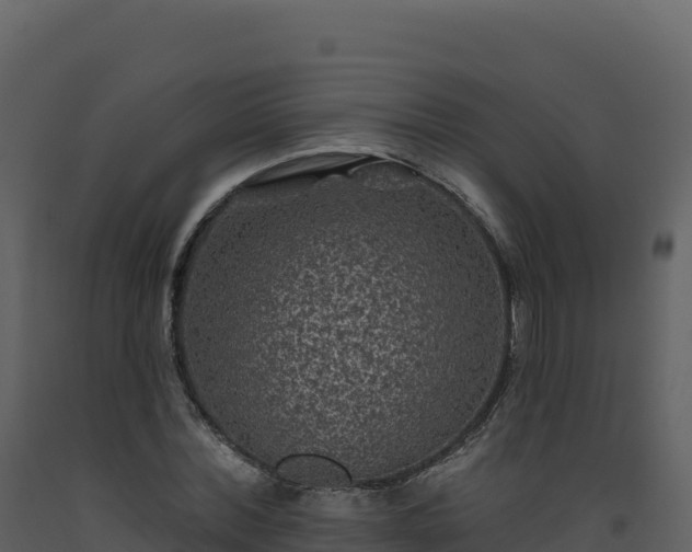 X0000093480780200710191205
