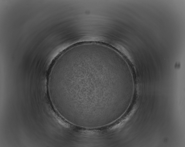 X0000093480781200710191205