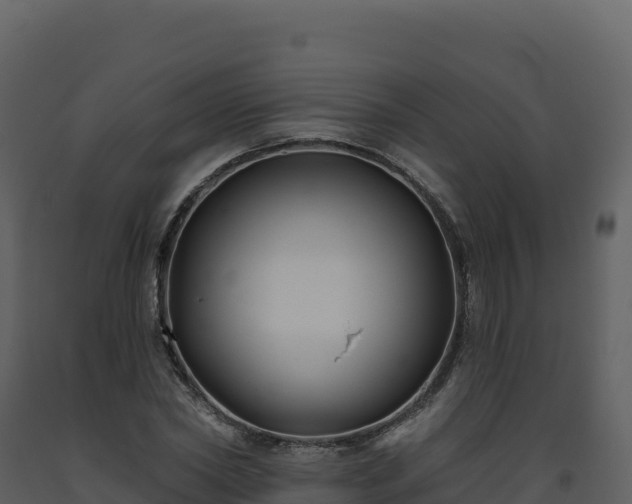 X0000093480782200710191205