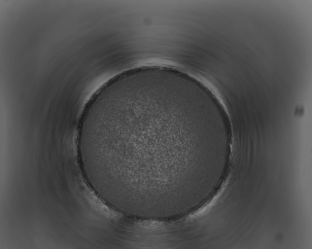 X0000093480783200710191205