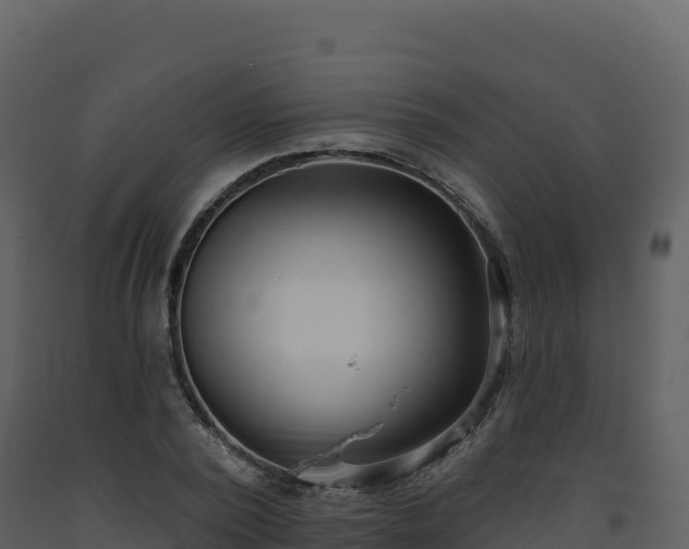 X0000093480784200710191205