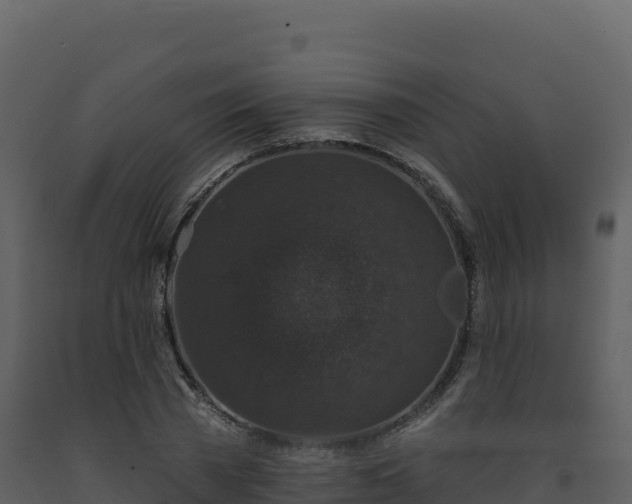 X0000093480785200710191205