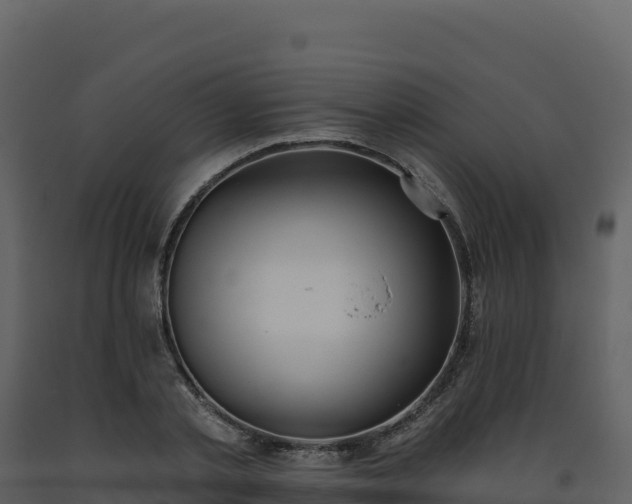 X0000093480789200710191205