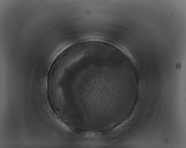 X0000093480790200710191205