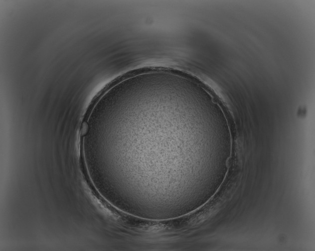 X0000093480791200710191205