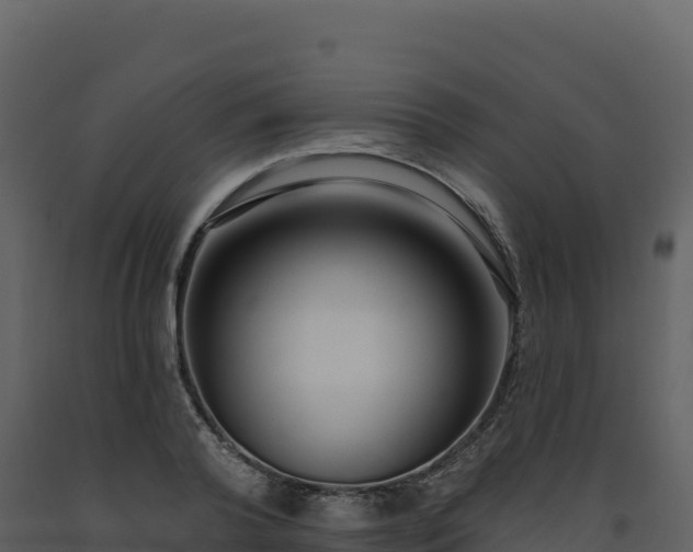 X0000093480792200710191205