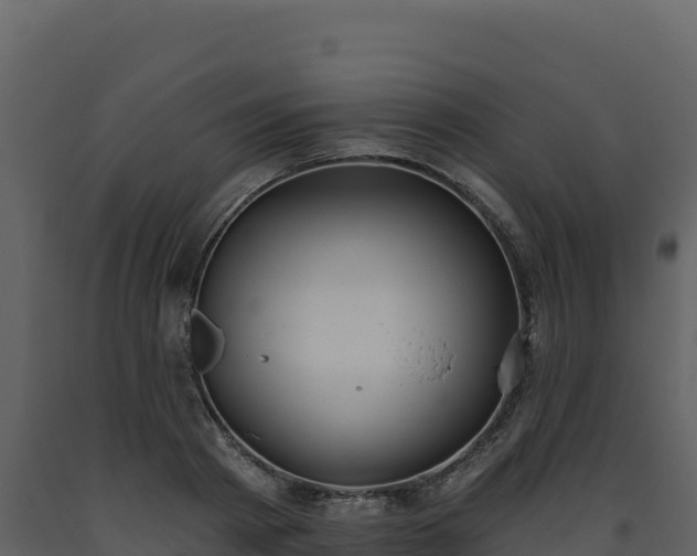 X0000093480793200710191205