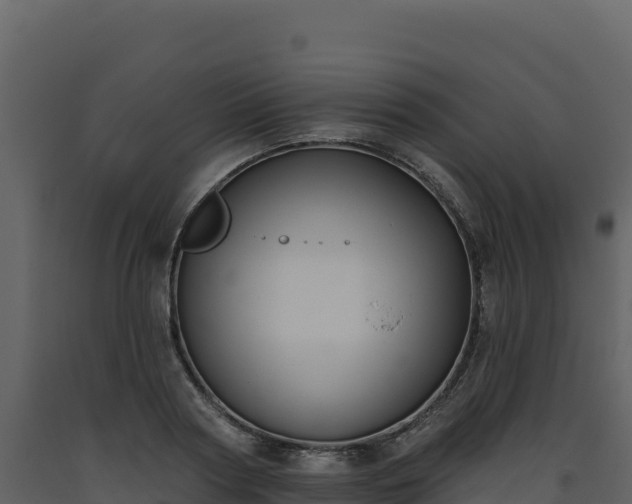 X0000093480794200710191205