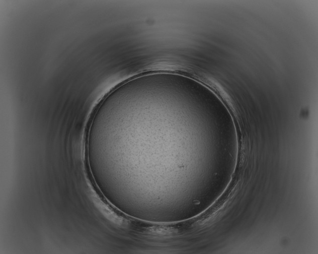 X0000093480795200710191205
