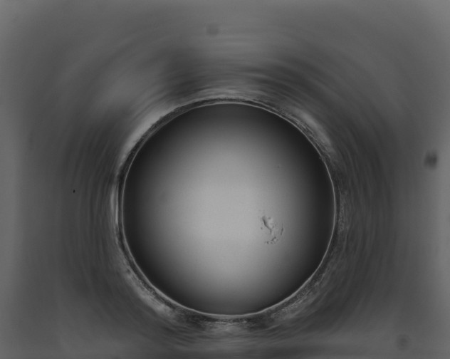 X0000093480796200710191205