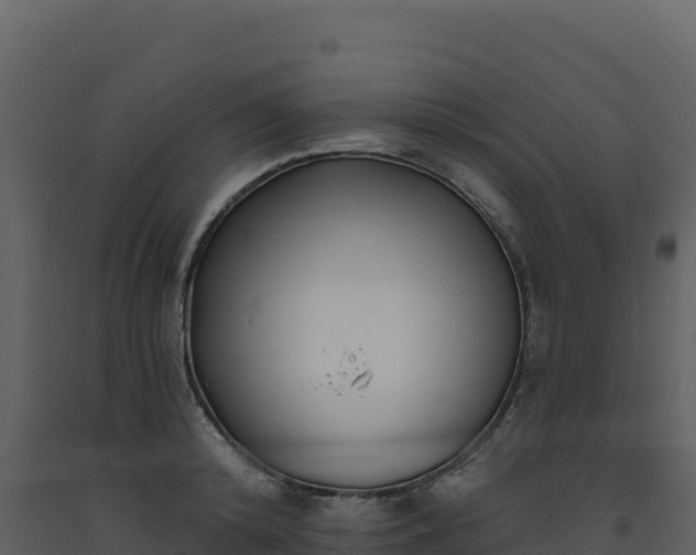 X0000093480800200710191205