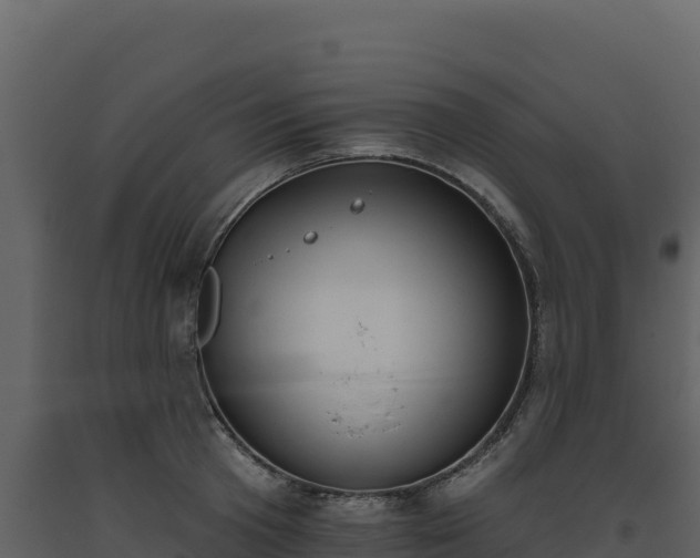 X0000093480801200710191205
