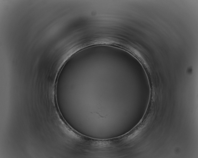 X0000093480802200710191205