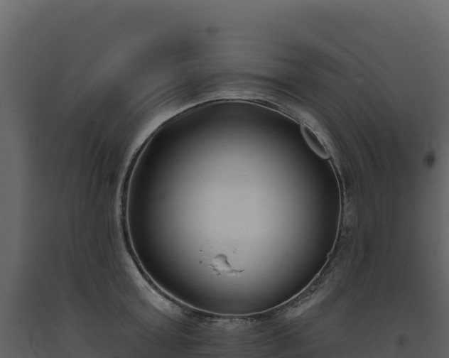 X0000093480803200710191205