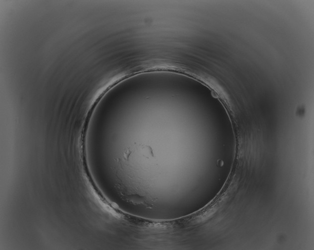X0000093480806200710191205