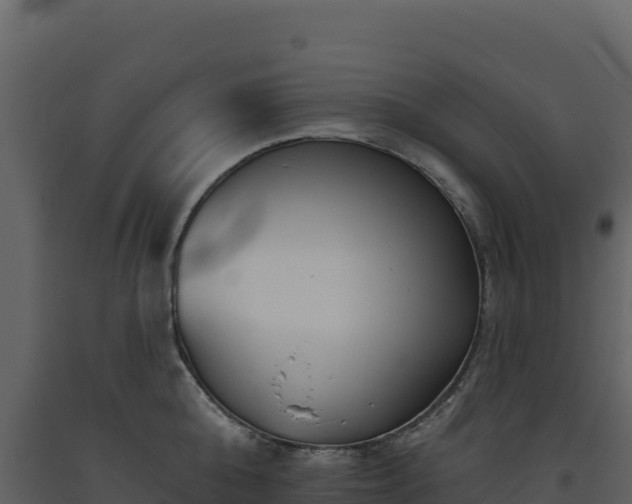 X0000093480808200710191205