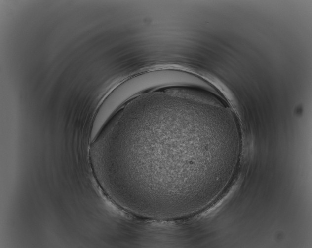 X0000093480809200710191205
